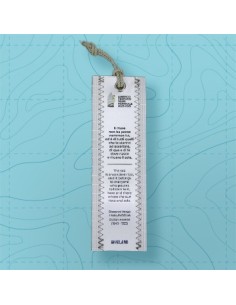 Bookmark AMERIGO VESPUCCI 2